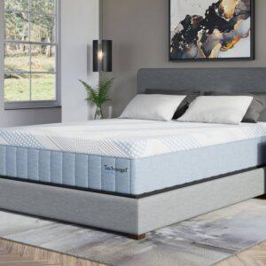 Celeste Plush Hybrid Technogel Queen